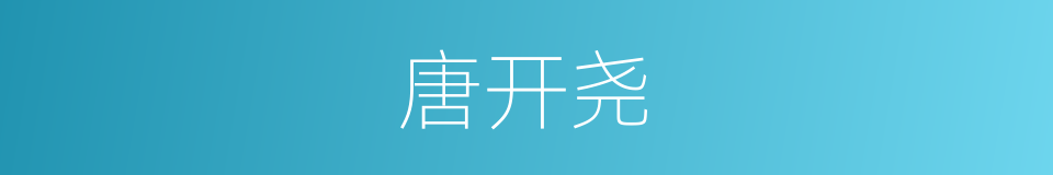 唐开尧的同义词