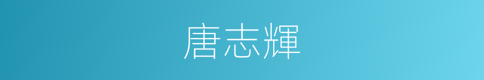 唐志輝的同義詞