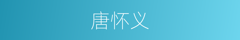 唐怀义的同义词