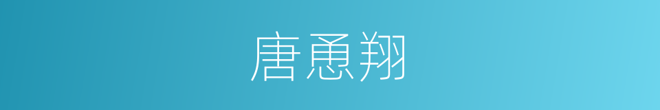 唐恿翔的同义词