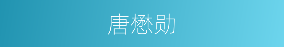 唐懋勋的同义词