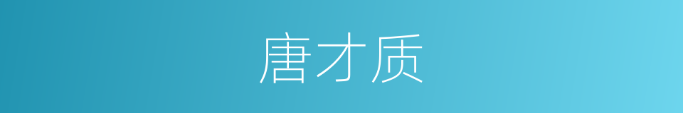 唐才质的同义词