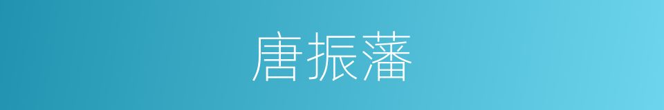 唐振藩的同义词