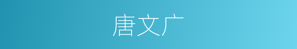 唐文广的同义词