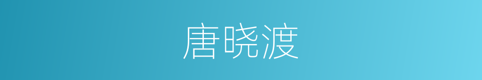 唐晓渡的同义词