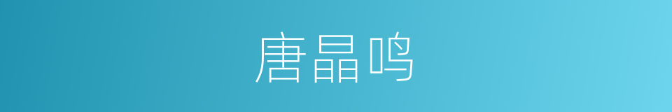 唐晶鸣的同义词