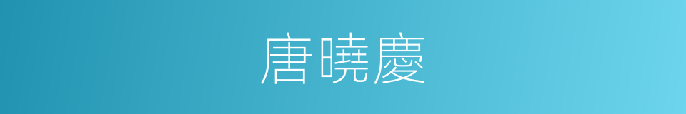 唐曉慶的同義詞