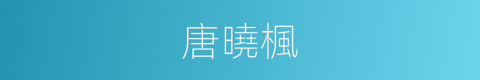唐曉楓的同義詞