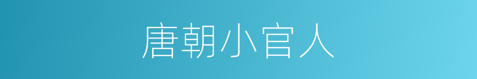 唐朝小官人的同义词