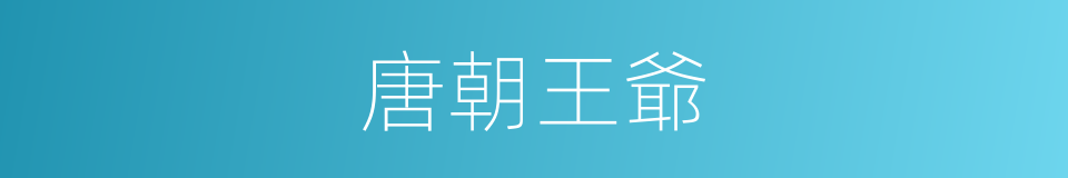 唐朝王爺的同義詞