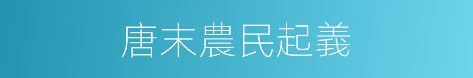 唐末農民起義的同義詞