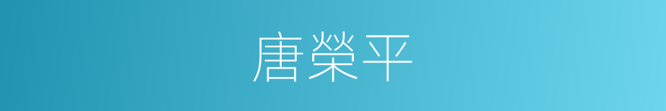 唐榮平的同義詞