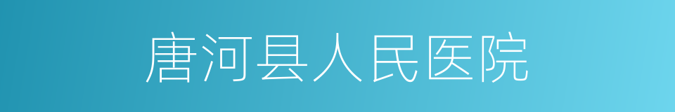唐河县人民医院的同义词