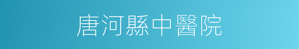 唐河縣中醫院的同義詞