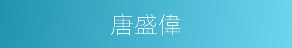 唐盛偉的同義詞