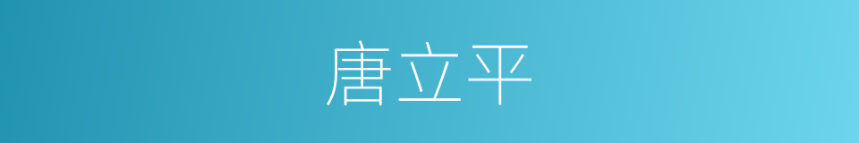 唐立平的同义词