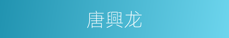 唐興龙的同義詞