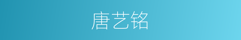 唐艺铭的同义词