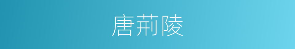 唐荊陵的同義詞