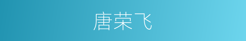 唐荣飞的同义词