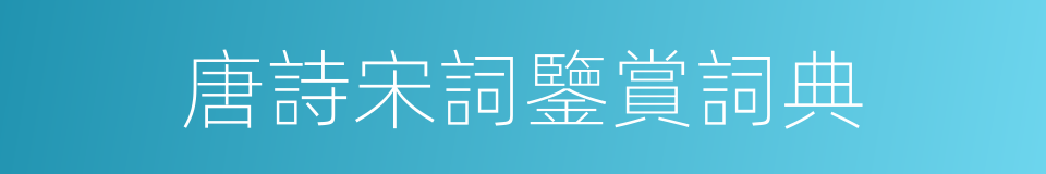 唐詩宋詞鑒賞詞典的同義詞
