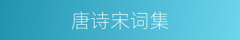 唐诗宋词集的同义词