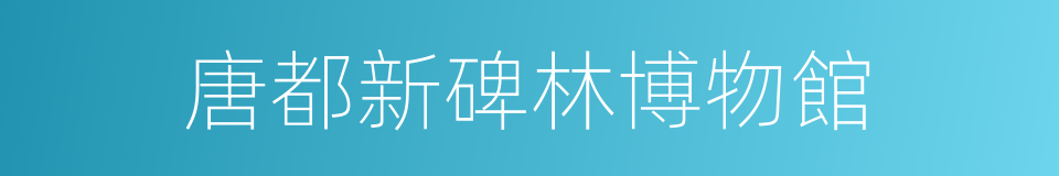 唐都新碑林博物館的同義詞