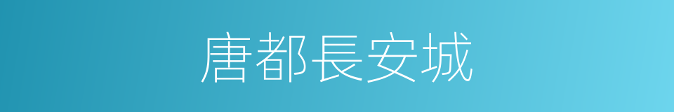 唐都長安城的同義詞