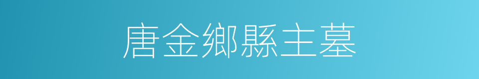 唐金鄉縣主墓的同義詞