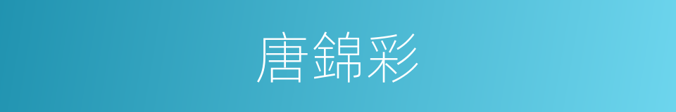 唐錦彩的同義詞