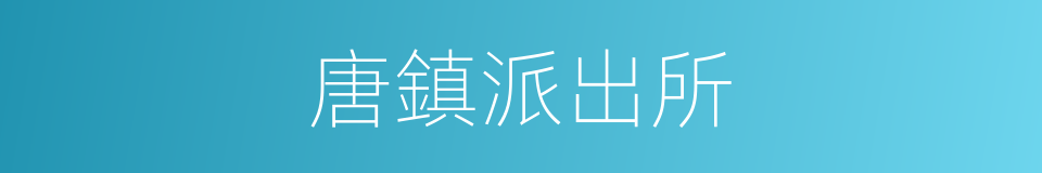 唐鎮派出所的同義詞