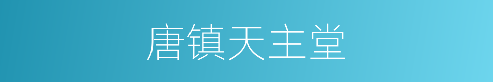 唐镇天主堂的同义词