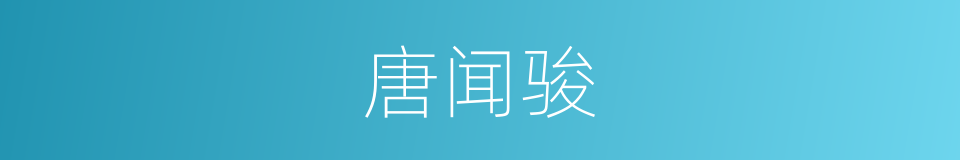唐闻骏的同义词