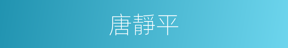 唐靜平的同義詞