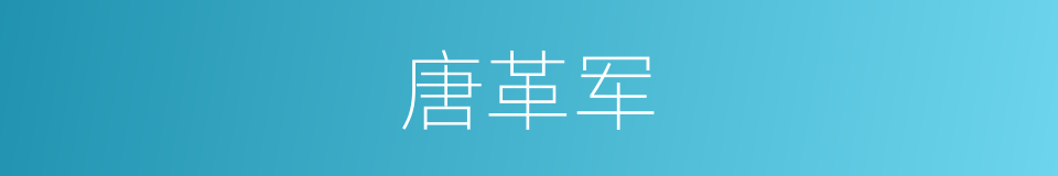 唐革军的同义词