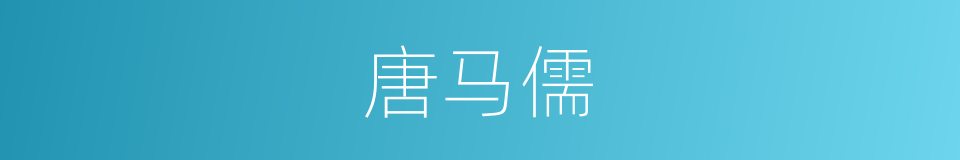 唐马儒的同义词