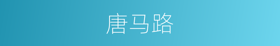 唐马路的同义词