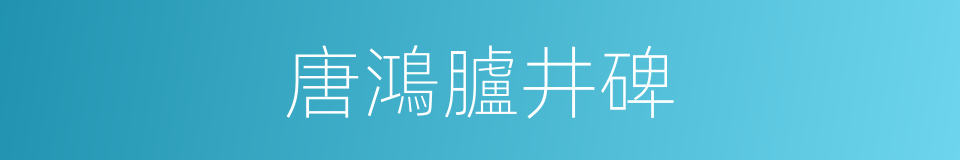 唐鴻臚井碑的同義詞
