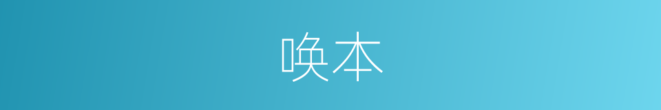 唤本的同义词