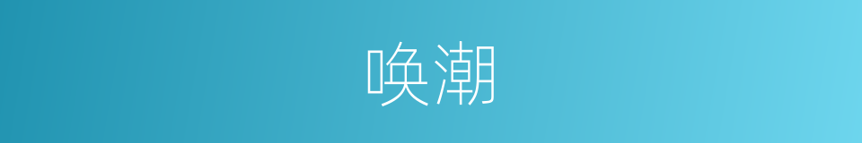 唤潮的同义词
