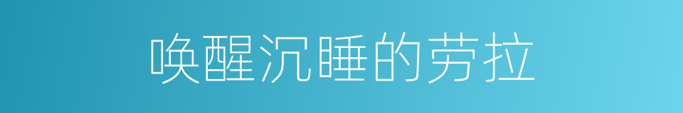 唤醒沉睡的劳拉的同义词