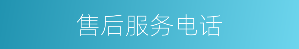 售后服务电话的同义词