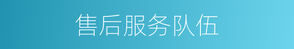 售后服务队伍的同义词