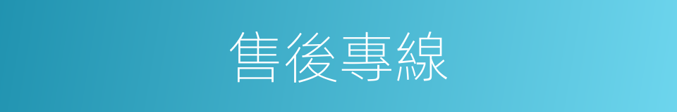 售後專線的同義詞
