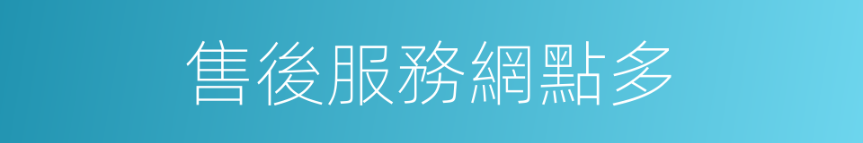 售後服務網點多的同義詞