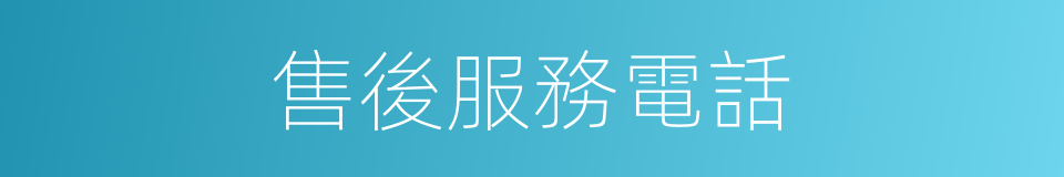 售後服務電話的同義詞