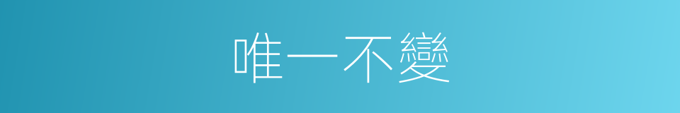 唯一不變的同義詞