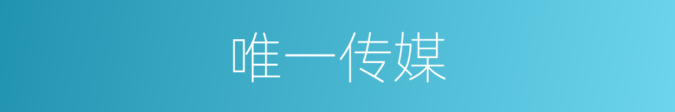 唯一传媒的同义词