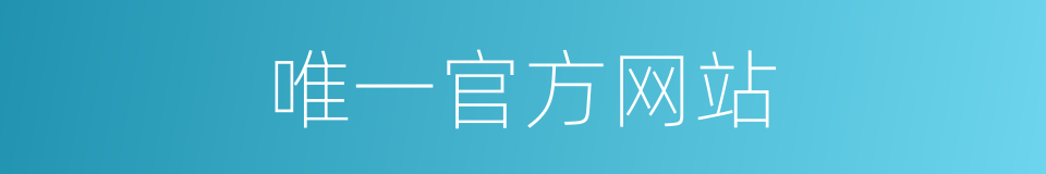 唯一官方网站的同义词