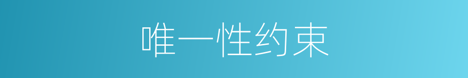 唯一性约束的同义词